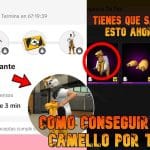 maxresdefault (66)